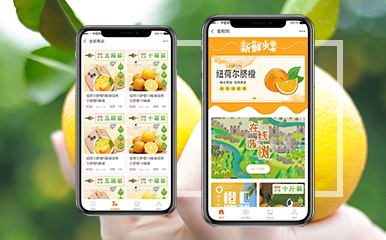 星橙+公众号+武汉创享之星有限公司